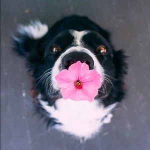 Meet your Posher, Margita